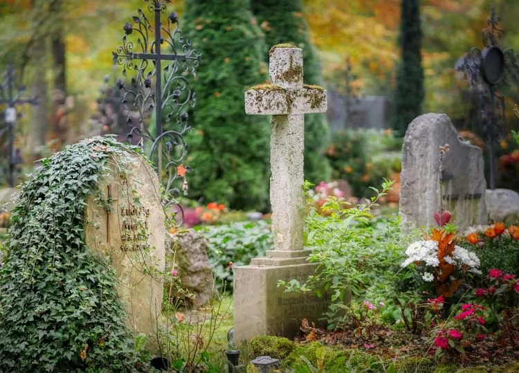 Ein alter Friedhof in Winsen mit verwitterten Steingrabsteinen, darunter ein moosbewachsenes Kreuz in der Mitte. Grünpflanzen, Efeu und Blumen umgeben die Gräber, während Bäume mit Herbstlaub die friedliche Szene vervollständigen. - Bestattungsunternehmen in Winsen, Harburg und in der Elbmarsch.
