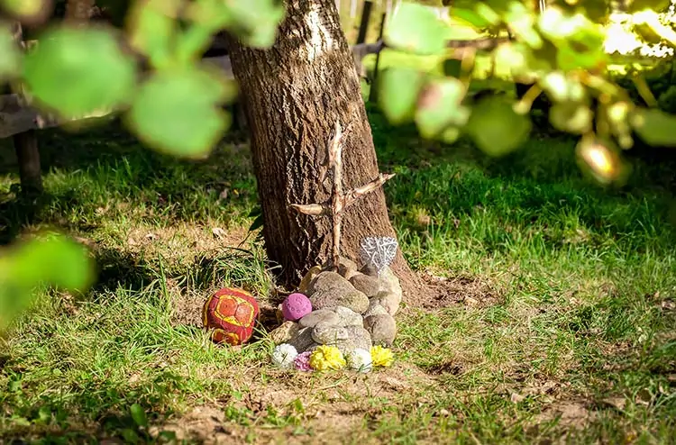 Ein kleines Steingrabdenkmal mit bemalten Steinen, einer roter Ball, Blumen und einem Kreuz aus Stöcken steht am Fuße eines Baumes auf einer sonnenbeschienenen Wiese und markiert einen friedlichen Ort für die Tierbestattung. - Bestattungsunternehmen in Winsen, Harburg und in der Elbmarsch.